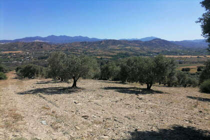 Plot for sale in Coín, Málaga. 
