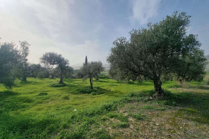 Plot for sale in Alhaurín el Grande, Málaga. 