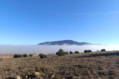 Plot for sale in Yecla, Murcia. 