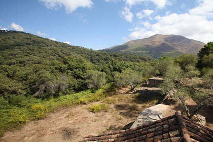 Ranch for sale in Casares, Málaga. 