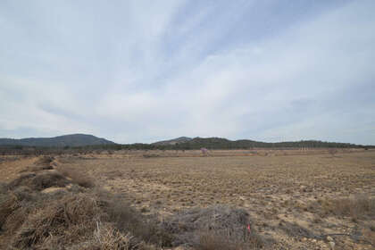 Plot for sale in Monóvar/Monòver, Alicante. 