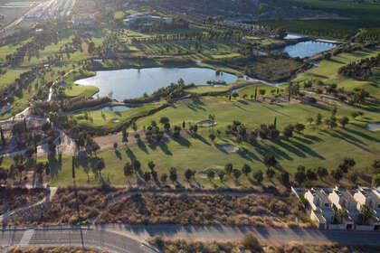 Cluster house for sale in Algorfa, Alicante. 