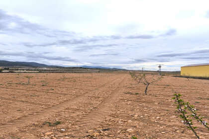 Plot for sale in Pinoso, Alicante. 