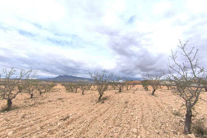 Plot for sale in Pinoso, Alicante. 