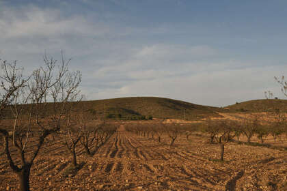 Plot for sale in Abanilla, Murcia. 