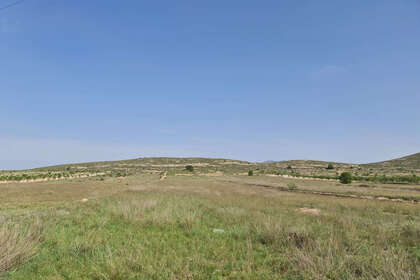 Plot for sale in Jumilla, Murcia. 