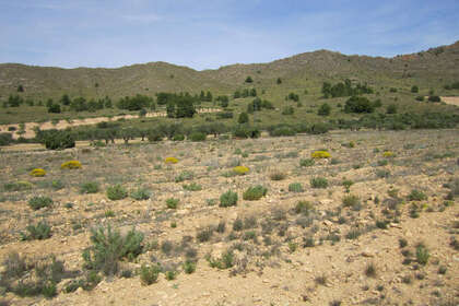 Plot for sale in Yecla, Murcia. 