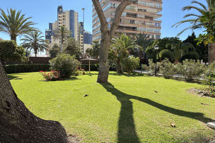 Apartment for sale in Playa de San Juan, Alicante. 