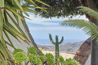 Cluster house for sale in Sayalonga, Málaga. 