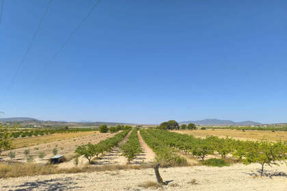 Plot for sale in Monóvar/Monòver, Alicante. 