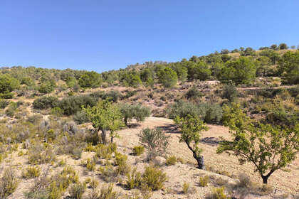 Plot for sale in Monóvar/Monòver, Alicante. 