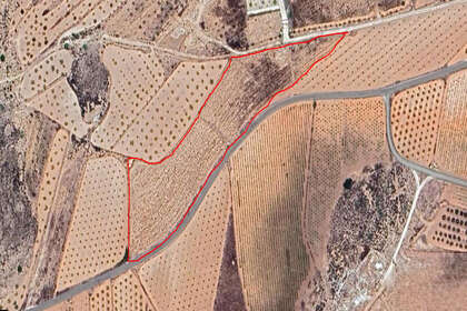 Plot for sale in Pinoso, Alicante. 
