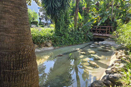 Apartment for sale in Puerto Banús, Málaga. 