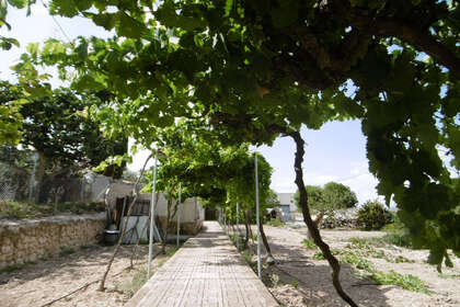 Cluster house for sale in Yecla, Murcia. 