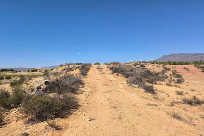 Plot for sale in Jumilla, Murcia. 