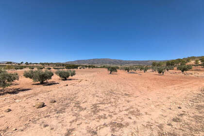 Plot for sale in Monóvar/Monòver, Alicante. 