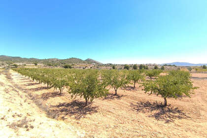 Plot for sale in Monóvar/Monòver, Alicante. 