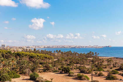 Apartment for sale in Punta Prima, Alicante. 