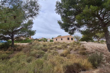 Plot for sale in Abanilla, Murcia. 