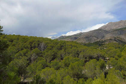 Plot for sale in Altea, Alicante. 