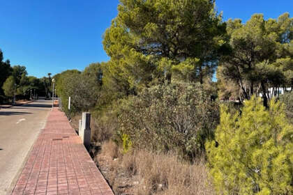 Plot for sale in Caleta, Jávea/Xàbia, Alicante. 