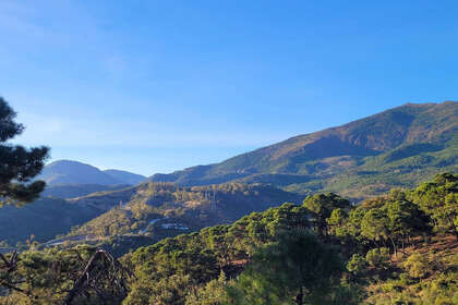 Enredo venda em La Zagaleta, Marbella, Málaga. 