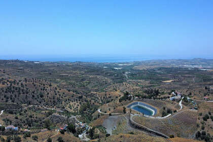 情节 出售 进入 Vélez-Málaga. 