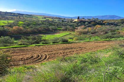 Plot for sale in Coín, Málaga. 
