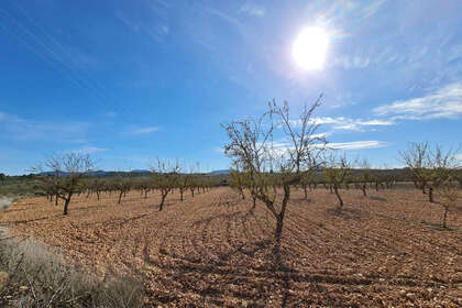 Plot for sale in Benitachell/Poble Nou de Benitatxell (el), Alicante. 