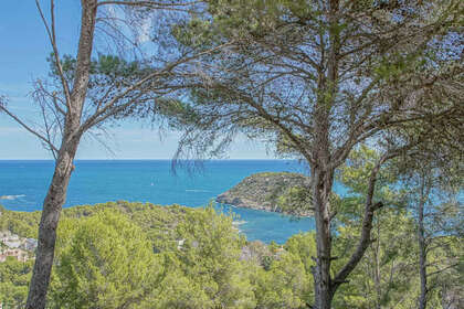 Plot for sale in Jávea/Xàbia, Alicante. 