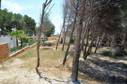 Plot for sale in Moraira, Alicante. 