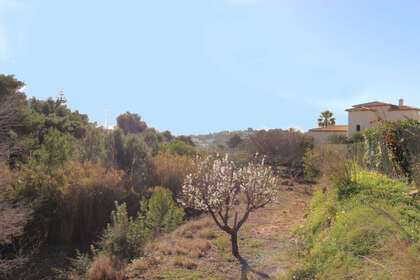 Plot for sale in Benissa, Alicante. 