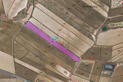 Plot for sale in Jumilla, Murcia. 