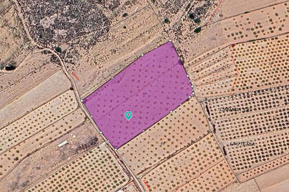 Plot for sale in Pinoso, Alicante. 