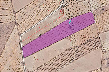 Plot for sale in Pinoso, Alicante. 