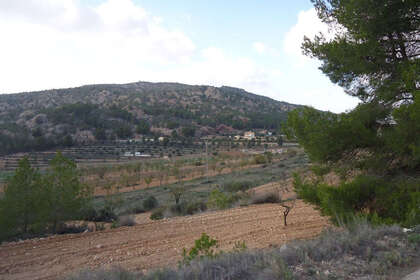 Plot for sale in Pinoso, Alicante. 