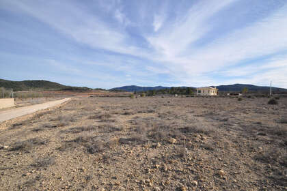 Plot for sale in Pinoso, Alicante. 