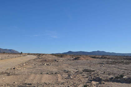 Plot for sale in Pinoso, Alicante. 