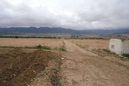 Plot for sale in Yecla, Murcia. 