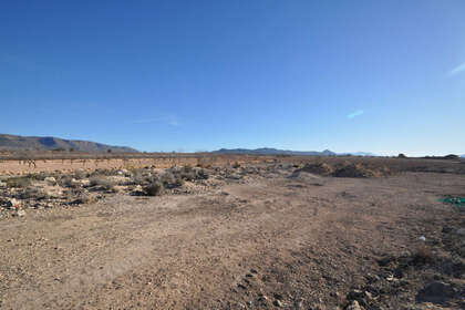 Plot for sale in Pinoso, Alicante. 