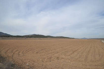 Plot for sale in Monóvar/Monòver, Alicante. 