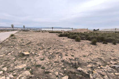 Plot for sale in Yecla, Murcia. 