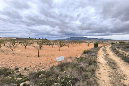 Plot for sale in Pinoso, Alicante. 
