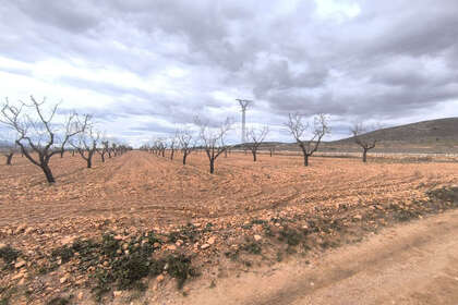 Plot for sale in Raspay, Yecla, Murcia. 