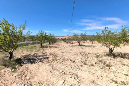 Plot for sale in Jumilla, Murcia. 