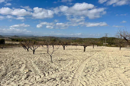 情节 出售 进入 Bullas, Murcia. 