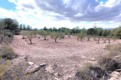 Plot for sale in Yecla, Murcia. 