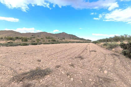 Plot for sale in Yecla, Murcia. 