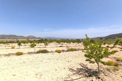 Plot for sale in Monóvar/Monòver, Alicante. 