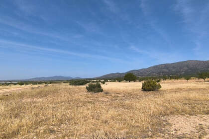 Plot for sale in Monóvar/Monòver, Alicante. 